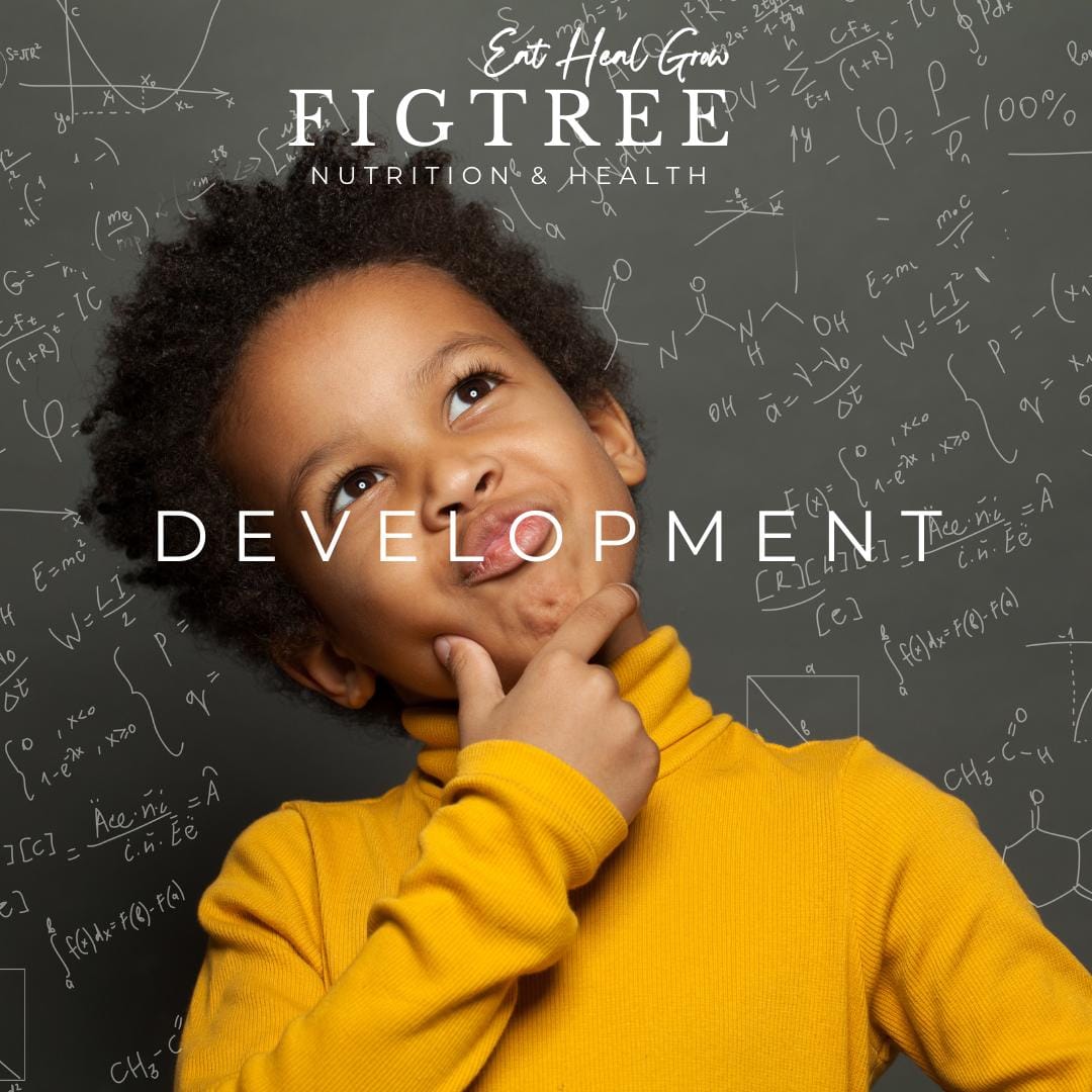 Whatsapp Image 2024 11 13 At 11.25.45 (1)